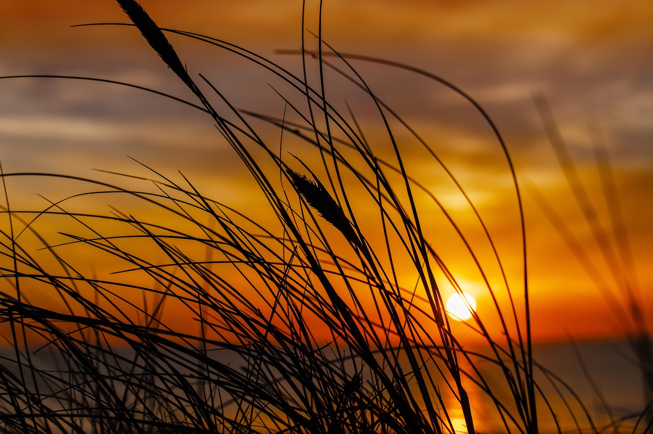 Stilfulde tilbud: Luksuriøse øreringe alle vil eje